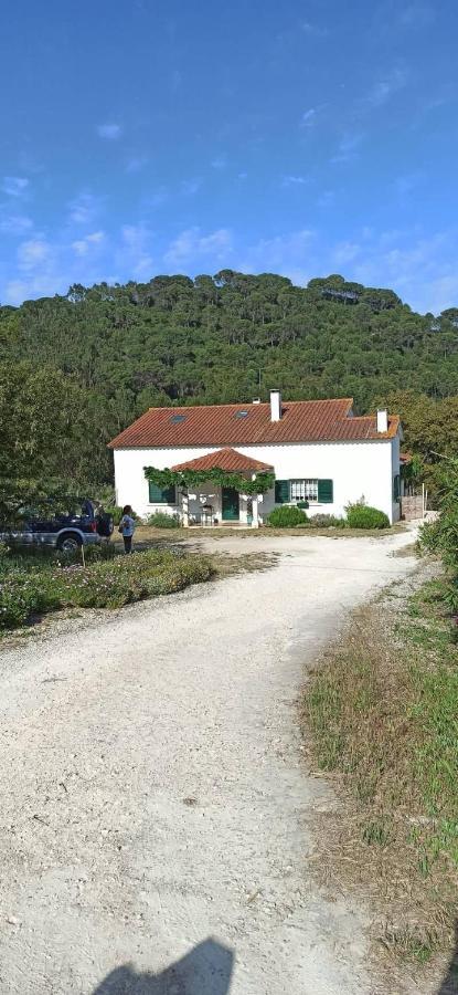 Al- Quinta Dos Carvalhais Рио Майор Екстериор снимка